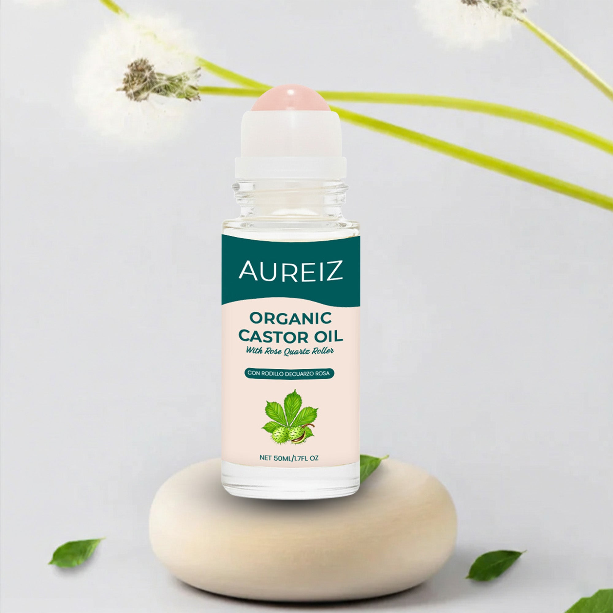 Artboard 3.jpg__PID:feb584f7-12b6-4adf-85e6-e34d0f7b6573